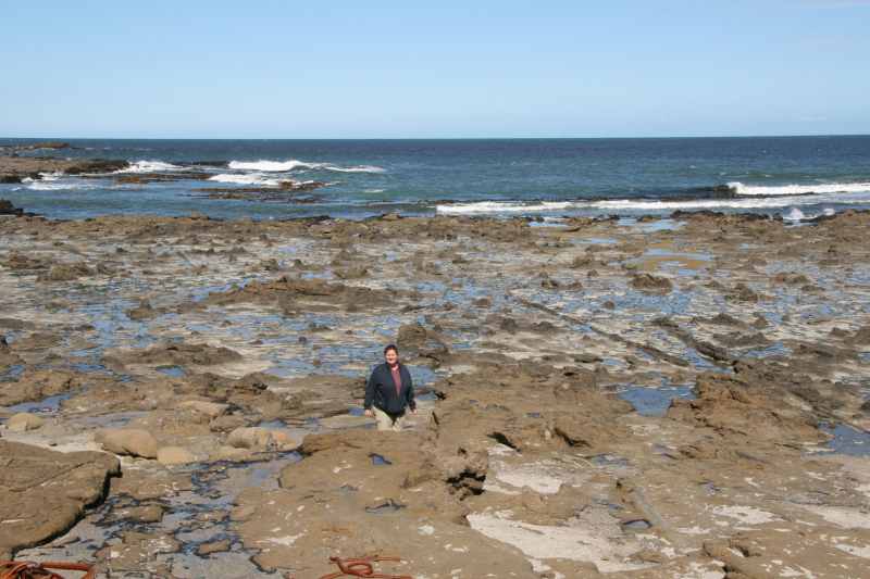 Nieuw-Zeeland 2011 - 1841